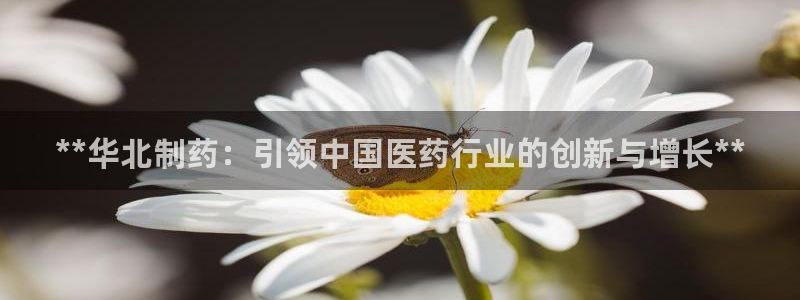 九游会老哥：**华北制药：引领中国医药行业的创新与增长**