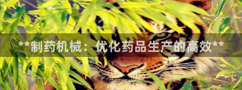 九游会老哥：**制药机械：优化药品生产的高效**
