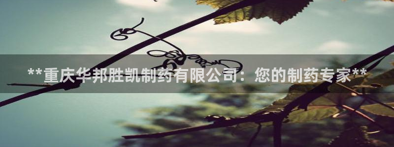 九游会老哥俱乐部必备的交流社区论坛：**重庆华邦胜凯制药有限公司：您的制药专家**