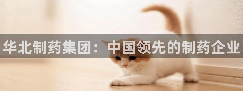 ag九游会老哥俱乐部：华北制药集团：中国领先的制药企业