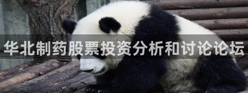 九游会老哥必备的交流社区：华北制药股票投资分析和讨论论坛