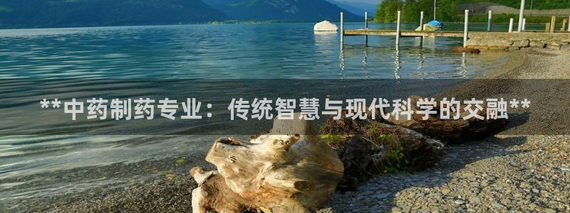 九游会老哥俱乐部官网：**中药制药专业：传统智慧与现代科学的交融**