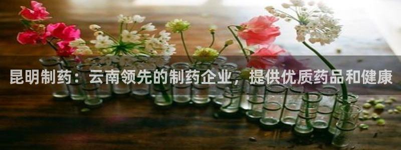 九游会老哥俱乐部官方网站：昆明制药：云南领先的制药企业，提供优质药品和健康