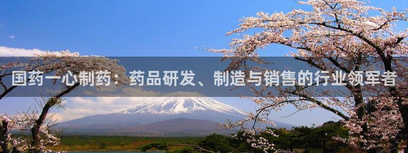 老哥俱乐部是干什么的：国药一心制药：药品研发、制造与销售的行业领军者