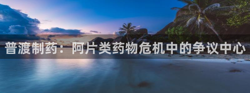 usdt九游会老哥俱乐部：普渡制药：阿片类药物危机中的争议中心