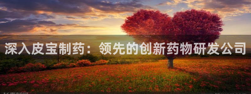 老哥吧九游会下架吗：深入皮宝制药：领先的创新药物研发公司