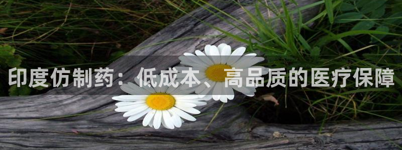 老哥吧九游会：印度仿制药：低成本、高品质的医疗保障
