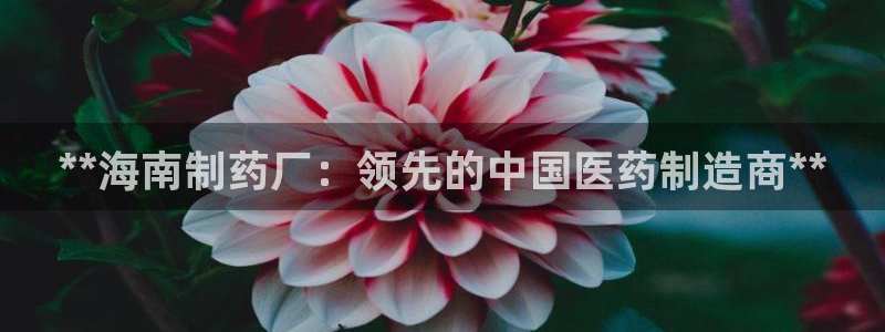 九游老哥俱乐部官网登录：**海南制药厂：领先的中国医药制造商**
