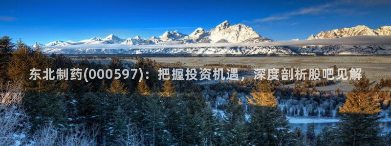 九游会老哥俱乐部官网首页论坛：东北制药(000597)：把握投资机遇，深度剖析股吧见解