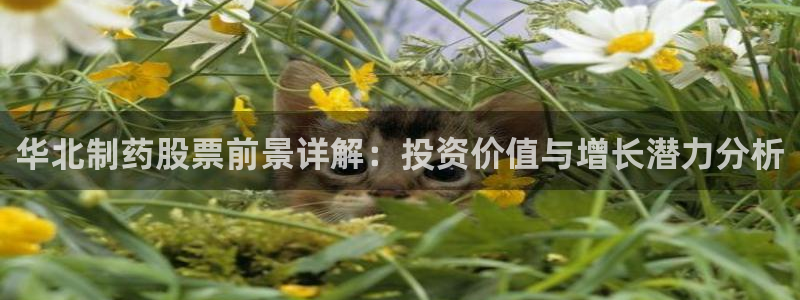 ag九游会老哥俱乐部：华北制药股票前景详解：投资价值与增长潜力分析