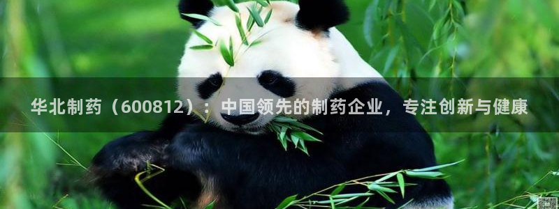 9游会老哥俱乐部：华北制药（600812）：中国领先的制药企业，专注创新与健康