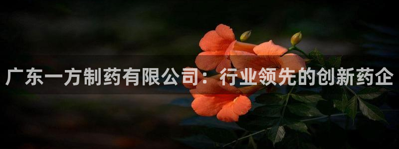 老哥俱乐部是干什么的：广东一方制药有限公司：行业领先的创新药企