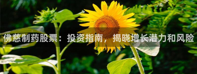 老哥俱乐部是干什么的啊：佛慈制药股票：投资指南，揭晓增长潜力和风险