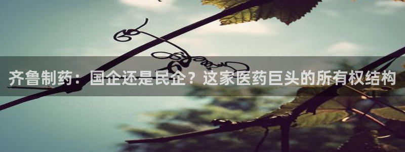 usdt九游会老哥俱乐部：齐鲁制药：国企还是民企？这家医药巨头的所有权结构