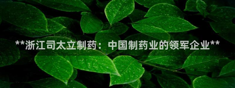 ag九游会老哥俱乐部：**浙江司太立制药：中国制药业的领军企业**