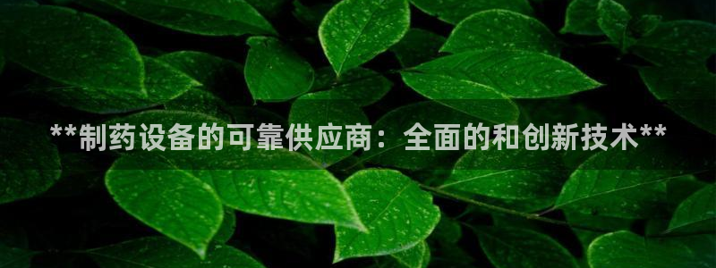 老哥吧九游会：**制药设备的可靠供应商：全面的和创新技术**
