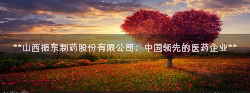 ag九游会老哥：**山西振东制药股份有限公司：中国领先的医药企业**