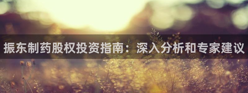 九游会老哥俱乐部官方网站：振东制药股权投资指南：深入分析和专家建议