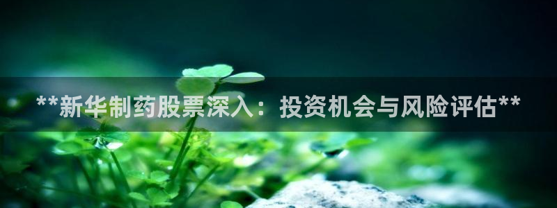 9游会老哥：**新华制药股票深入：投资机会与风险评估**
