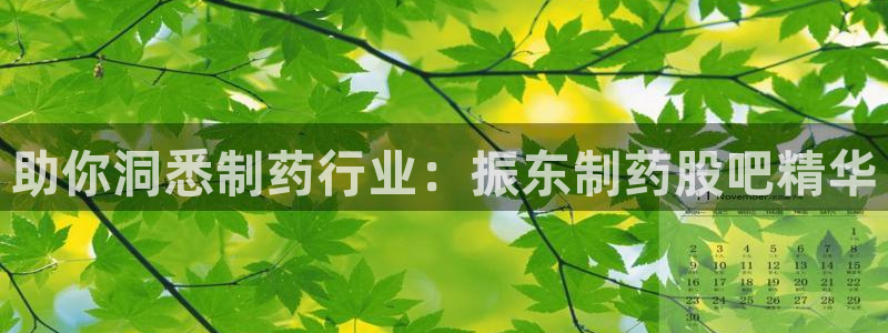 九游会老哥俱乐部官网首页：助你洞悉制药行业：振东制药股吧精华