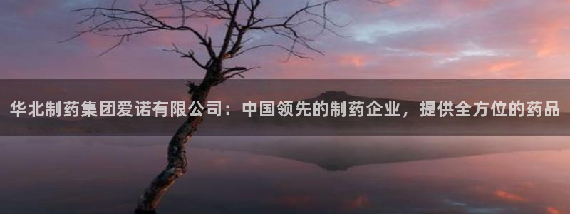 usdt九游会老哥俱乐部
