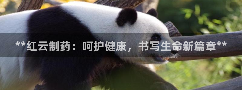 老哥吧九游会：**红云制药：呵护健康，书写生命新篇章**