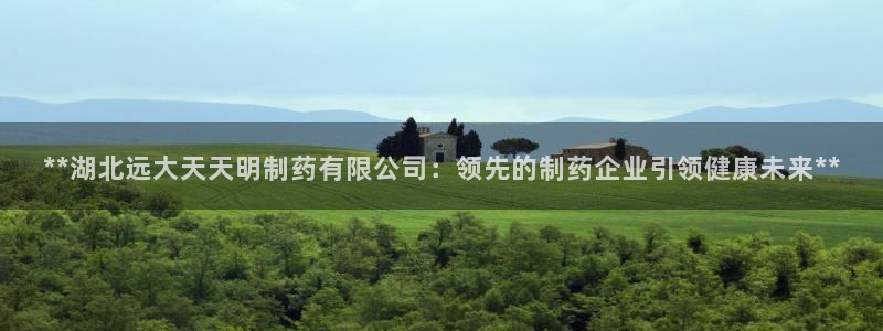 九游会老哥：**湖北远大天天明制药有限公司：领先的制药企业引领健康未来**