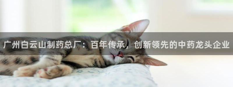 usdt九游会老哥俱乐部：广州白云山制药总厂：百年传承，创新领先的中药龙头企业