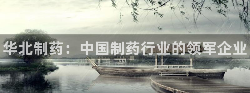 九游会老哥俱乐部必备的交流社区：华北制药：中国制药行业的领军企业