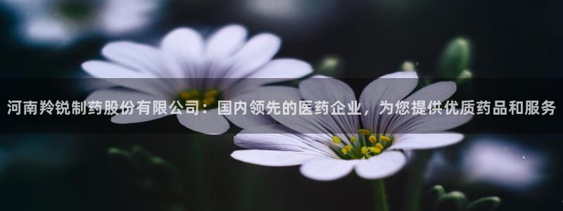 老哥俱乐部是干什么的：河南羚锐制药股份有限公司：国内领先的医药企业，为您提供优质药品和服务