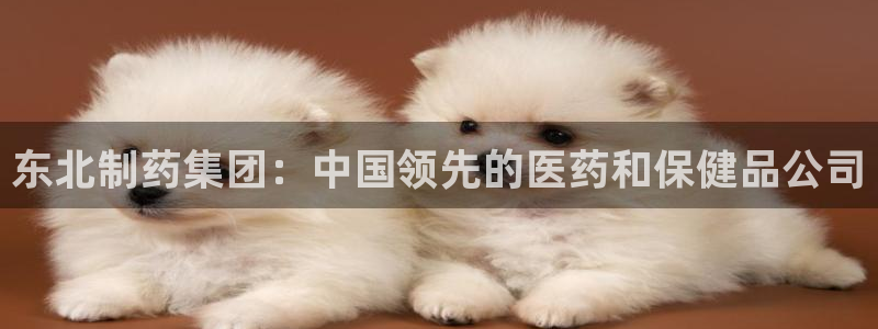 九游会老哥俱乐部论坛版：东北制药集团：中国领先的医药和保健品公司