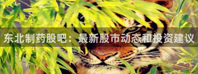 九游会老哥俱乐部交流社区：东北制药股吧：最新股市动态和投资建议