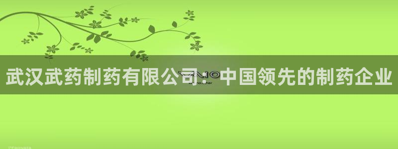 ag九游会老哥：武汉武药制药有限公司：中国领先的制药企业