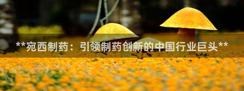 九游老哥俱乐部官网登录入口：**宛西制药：引领制药创新的中国行业巨头**