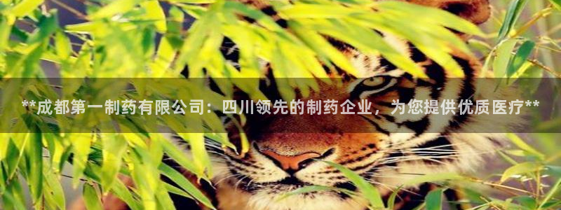 ag九游会老哥俱乐部：**成都第一制药有限公司：四川领先的制药企业，为您提供优质医疗**