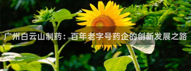 九游老哥俱乐部官网登录不了：广州白云山制药：百年老字号药企的创新发展之路