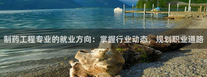 九游会老哥必备的交流社区九：制药工程专业的就业方向：掌握行业动态，规划职业道路
