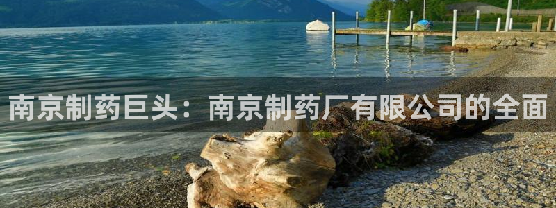 九游会老哥俱乐部官网：南京制药巨头：南京制药厂有限公司的全面