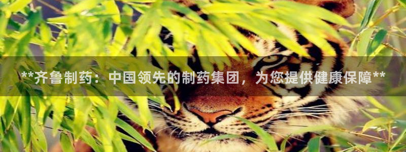 usdt九游会老哥俱乐部：**齐鲁制药：中国领先的制药集团，为您提供健康保障**