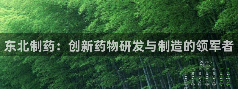 九游会老哥俱乐部必备的交流社区论坛：东北制药：创新药物研发与制造的领军者
