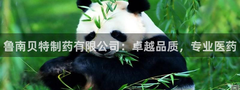9游会老哥俱乐部：鲁南贝特制药有限公司：卓越品质，专业医药
