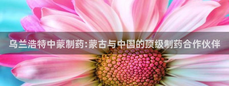 九游会老哥必备的交流社区：乌兰浩特中蒙制药:蒙古与中国的顶级制药合作伙伴