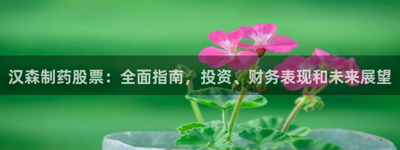 老哥俱乐部是干什么的啊：汉森制药股票：全面指南，投资、财务表现和未来展望