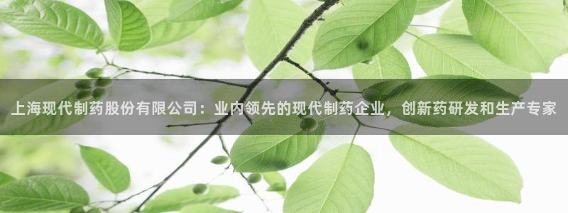 九游会老哥俱乐部交流社区：上海现代制药股份有限公司：业内领先的现代制药企业，创新药研发和生产专家