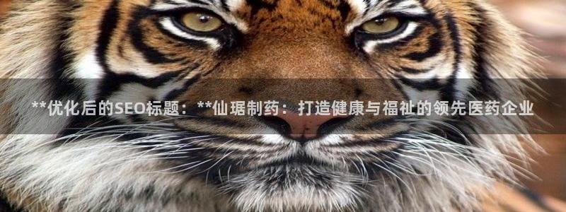 ag九游会老哥：**优化后的SEO标题：**仙琚制药：打造健康与福祉的领先医药企业