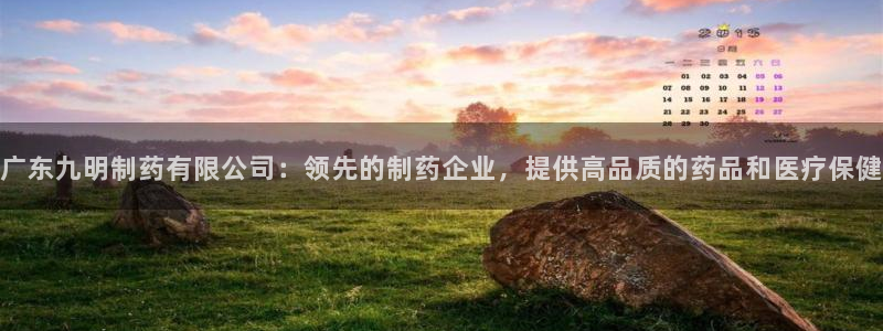 9游会老哥俱乐部：广东九明制药有限公司：领先的制药企业，提供高品质的药品和医疗保健