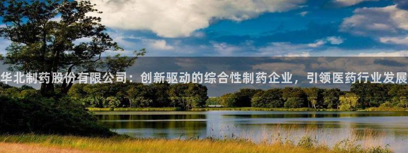 九游老哥俱乐部官网登录不了：华北制药股份有限公司：创新驱动的综合性制药企业，引领医药行业发展