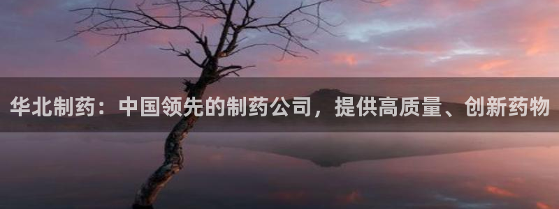 九游老哥俱乐部官网登录网址：华北制药：中国领先的制药公司，提供高质量、创新药物
