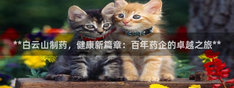 九游会老哥俱乐部官网首页论坛：**白云山制药，健康新篇章：百年药企的卓越之旅**
