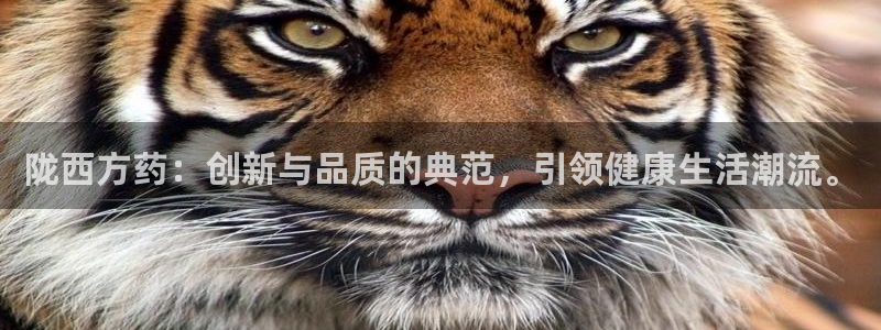 老哥俱乐部是干什么的：陇西方药：创新与品质的典范，引领健康生活潮流。